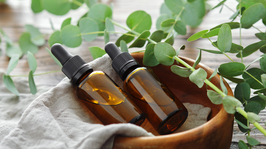 The Ancient Origins of Essential Oils: A Journey Through Time