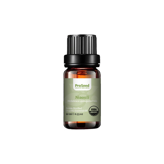 Niaouli Essential Oil 