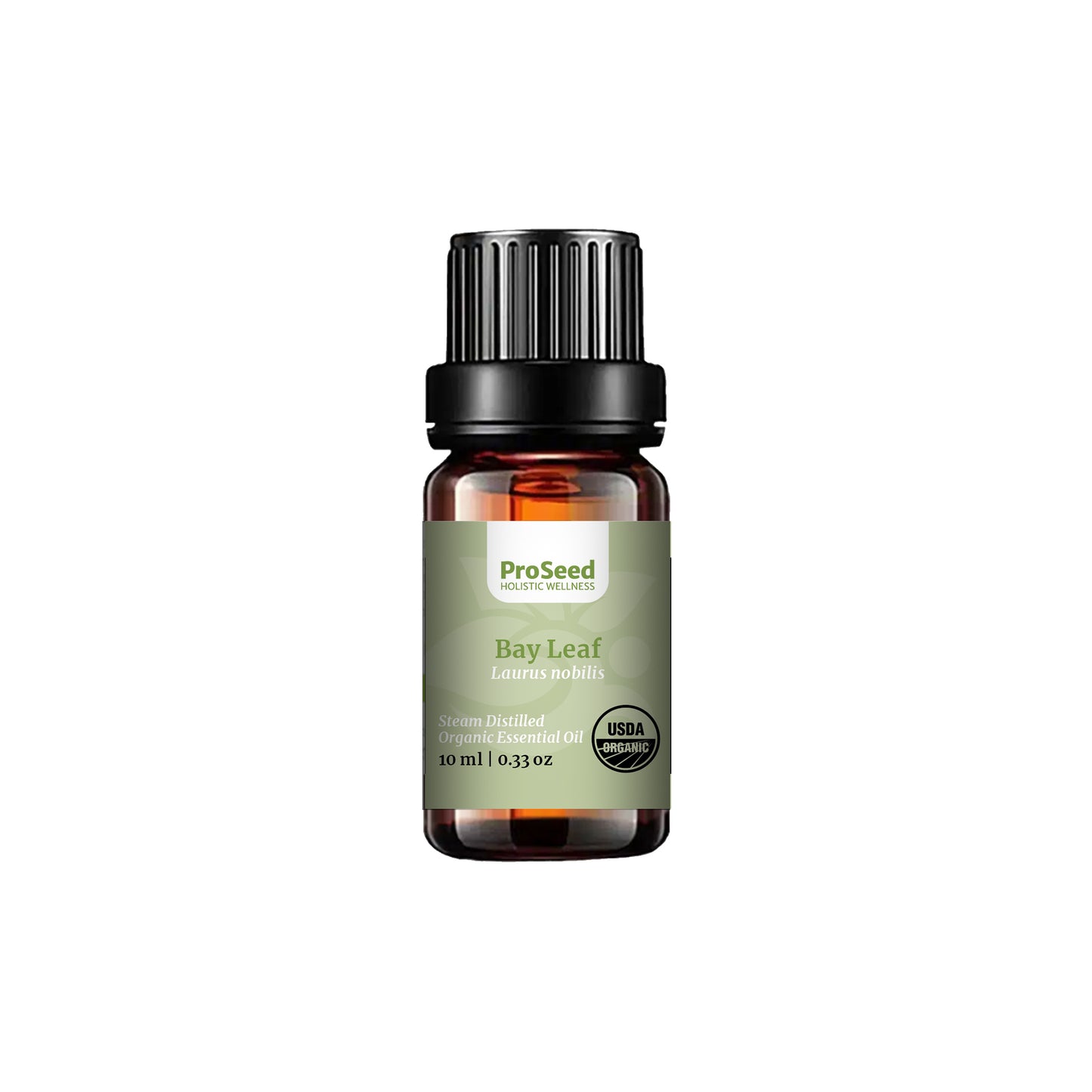Bay Leaf Essential Oil